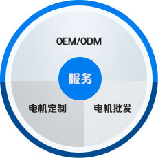 皖南電機 中國工業(yè)用電機生產(chǎn)基地